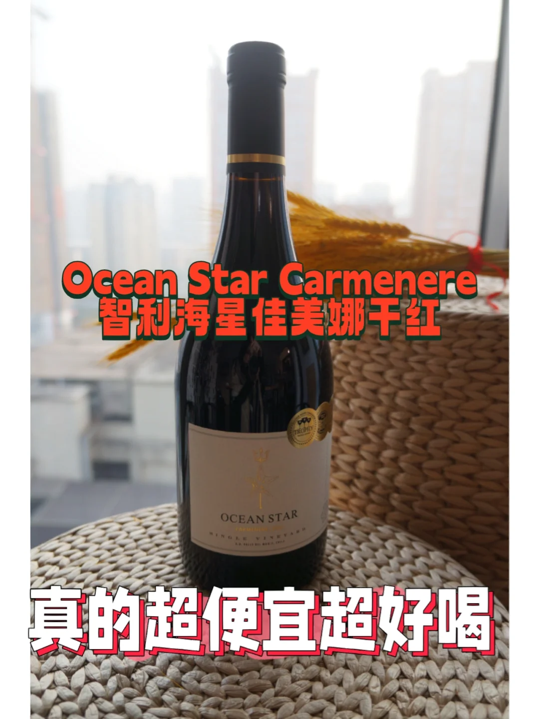 智利比人民币多少钱，智利比人民币