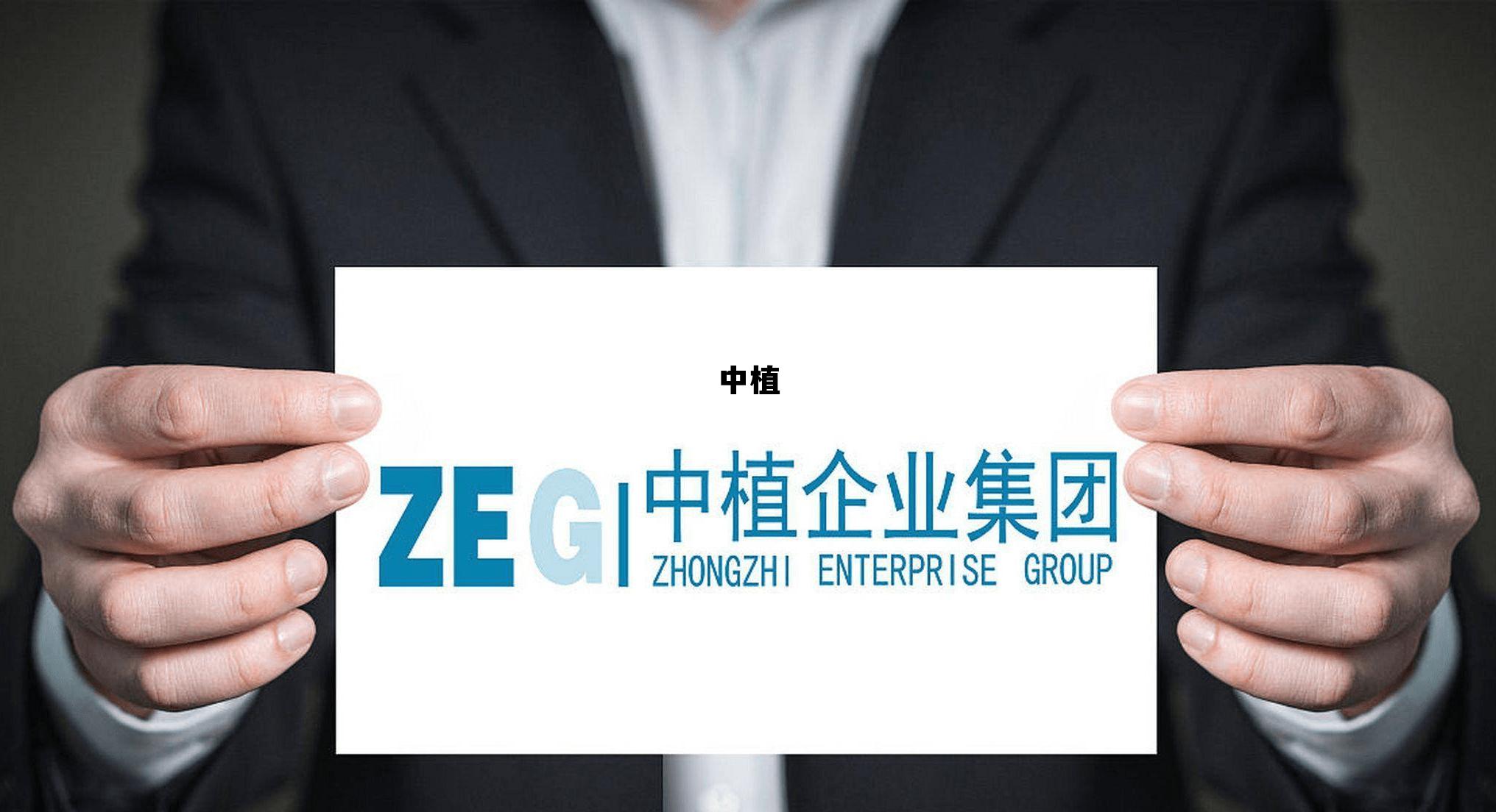 中植定融最新兑付方案，中植