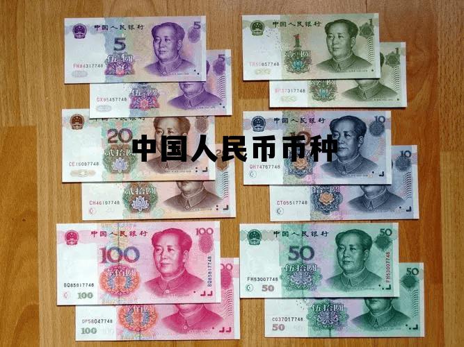 中国人民币有哪些，中国人民币币种