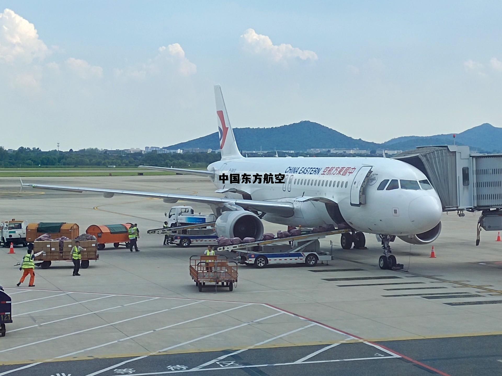 中国东方航空官网，中国东方航空