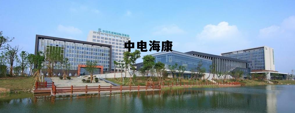 中电海康和海康威视的关系，中电海康