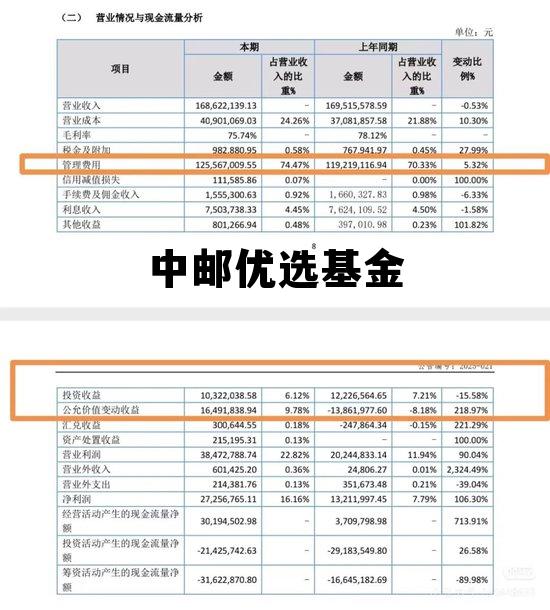 中邮优选基金590001今日估值，中邮优选基金